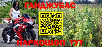 хмурый Кингисепп